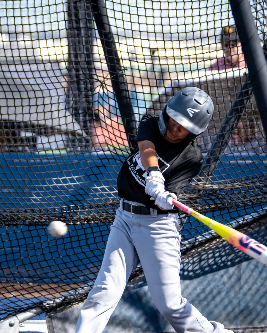 Hitter in the cage