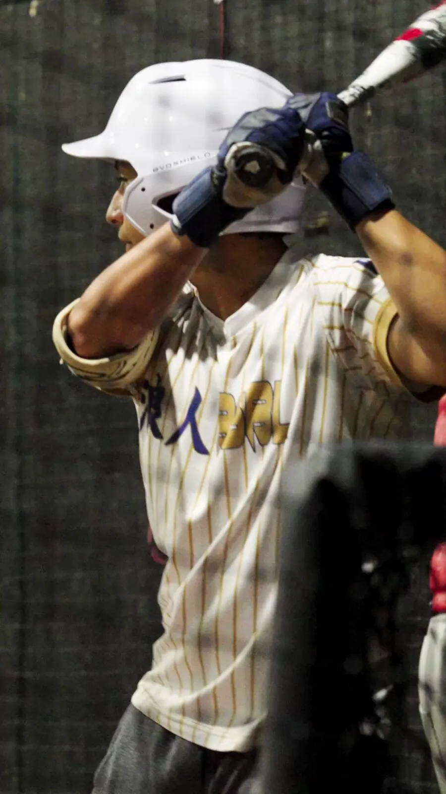 Hitter in the batting cage